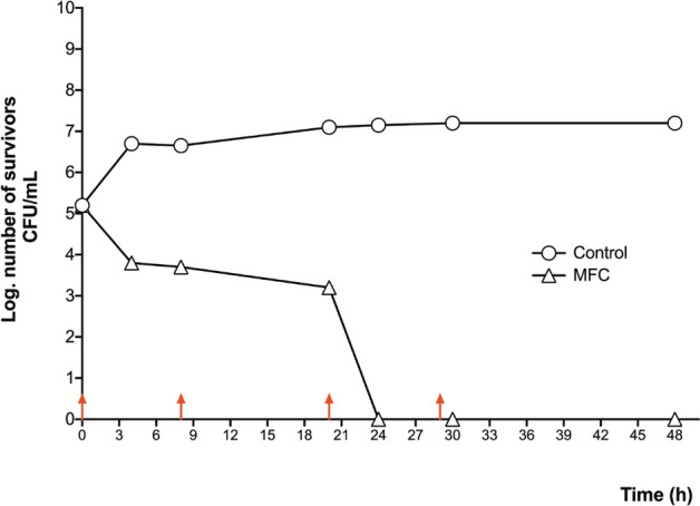 Figure 6