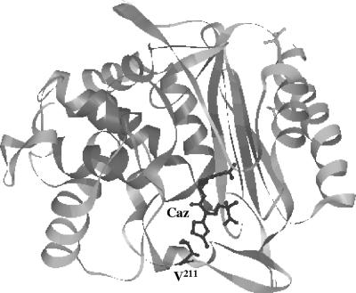 FIG. 2.