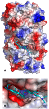 Figure 10