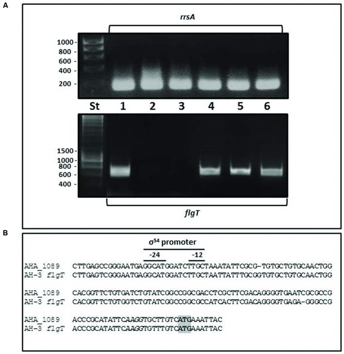 FIGURE 3