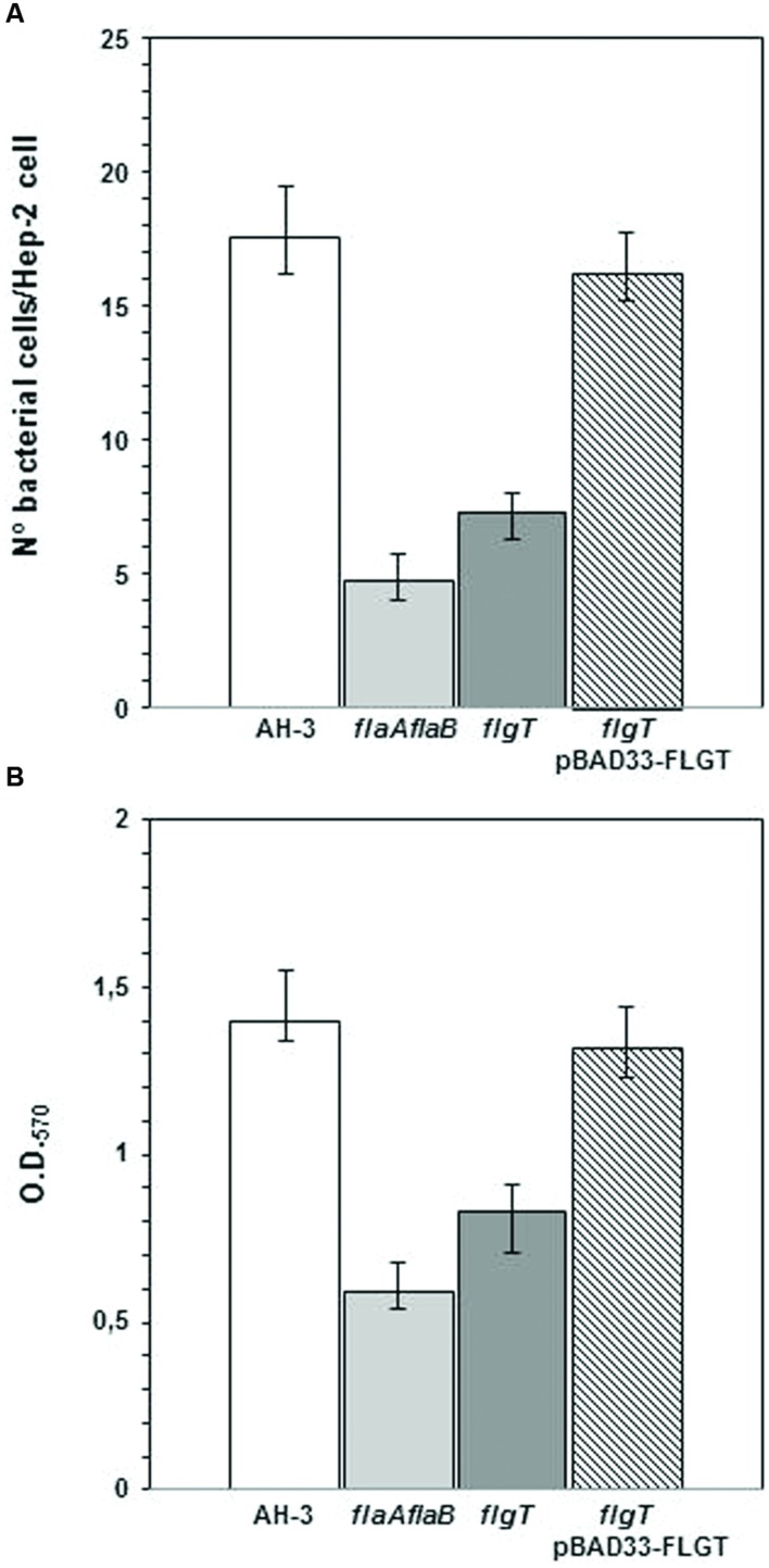 FIGURE 7