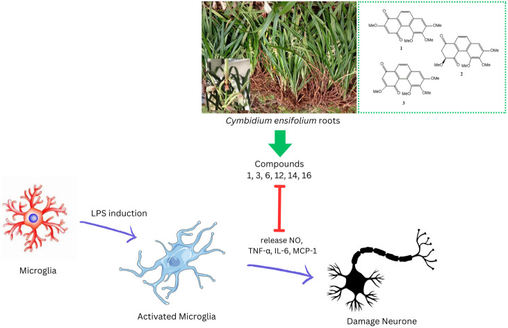 graphic file with name d4ra04761c-ga.jpg