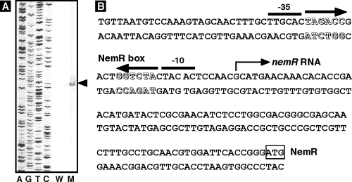 FIG. 5.