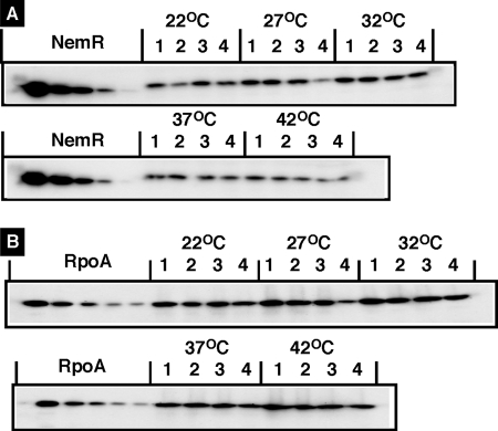 FIG. 10.