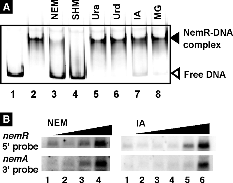 FIG. 9.