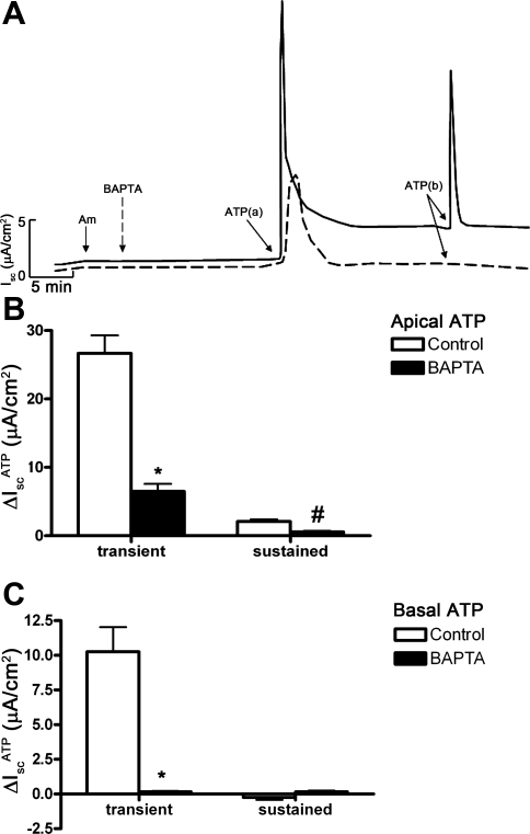 Fig. 11.