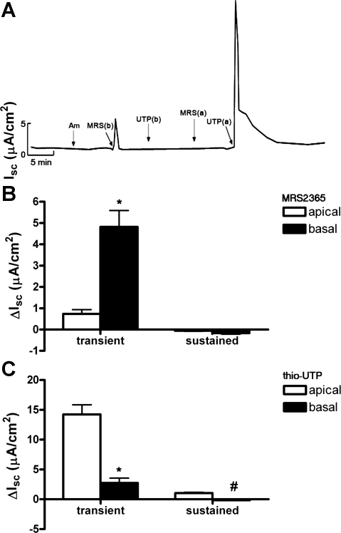 Fig. 8.