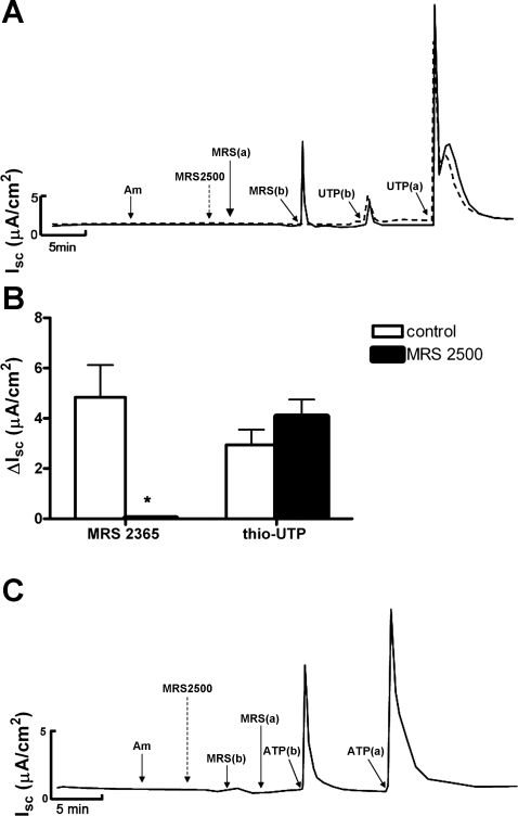 Fig. 9.