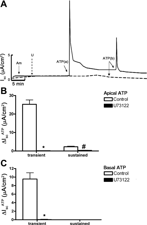 Fig. 10.