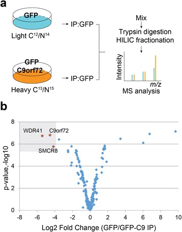 Fig. 1