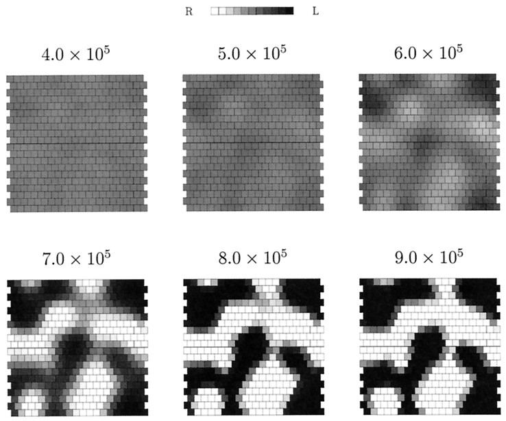 Fig. 12.