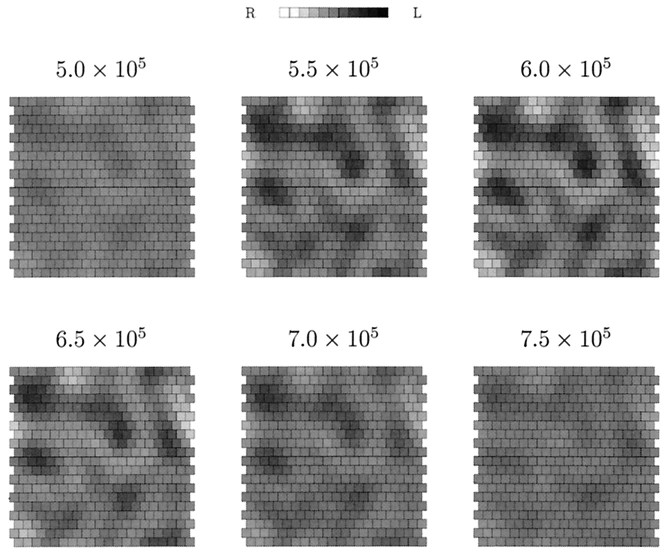 Fig. 10.