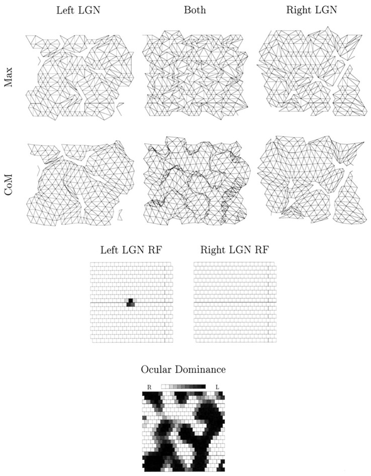 Fig. 8.