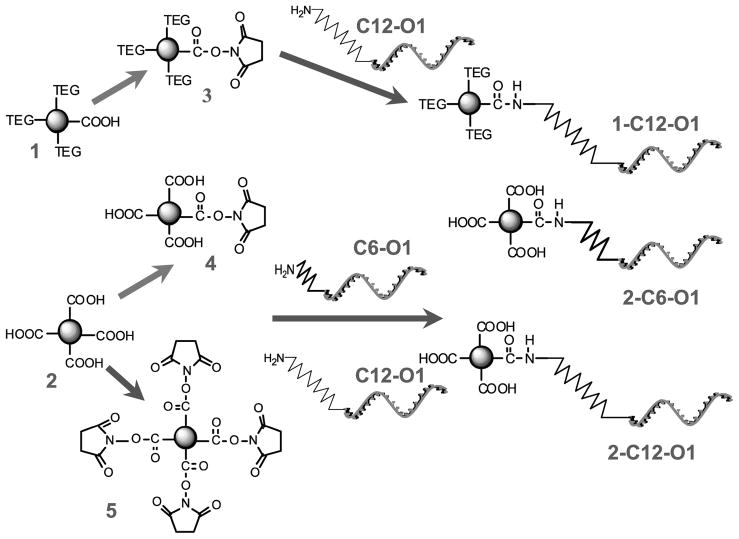 Scheme 2