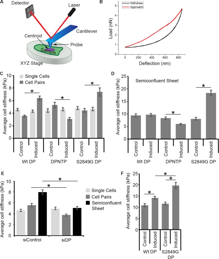 FIGURE 3: