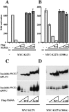 FIG. 2.