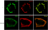 FIG. 8.