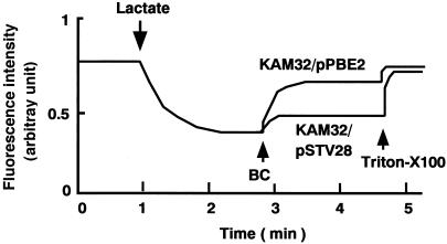 FIG. 2.