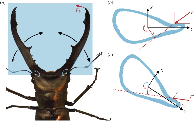 Figure 6.