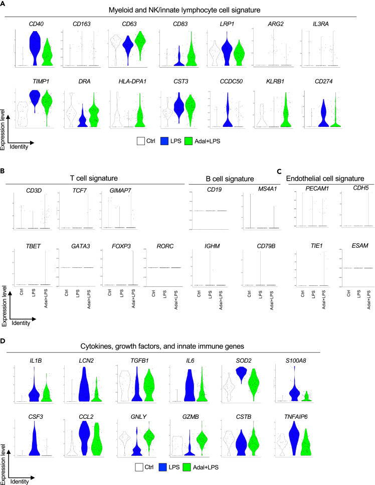 Figure 6