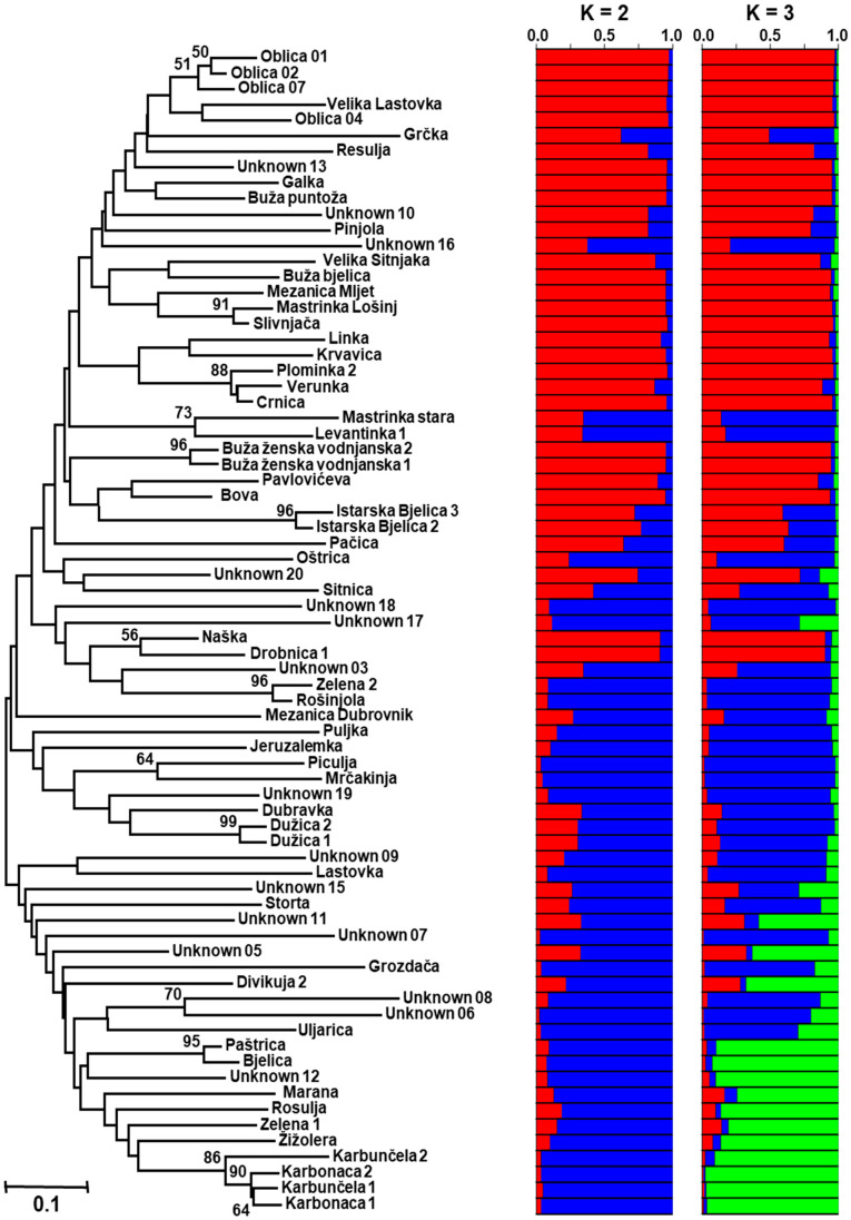 Figure 2