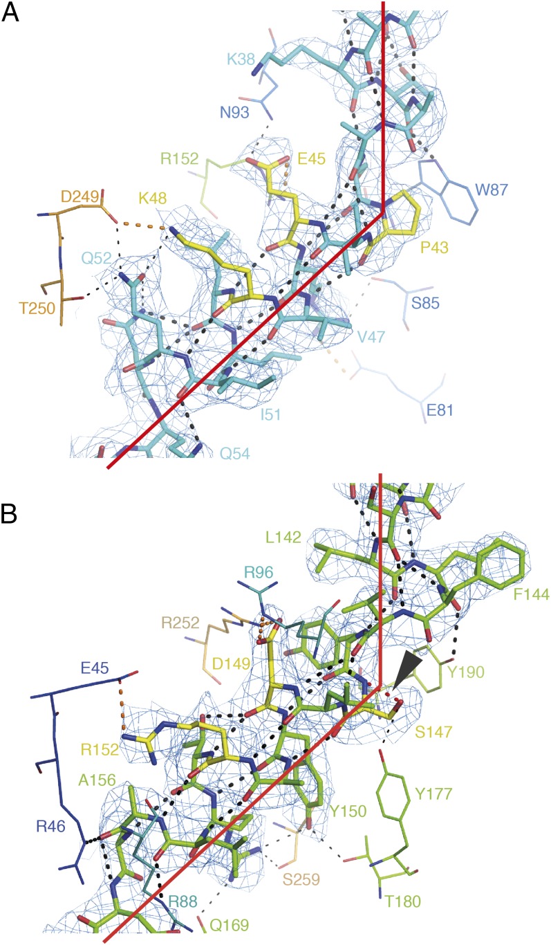 Fig. 3.