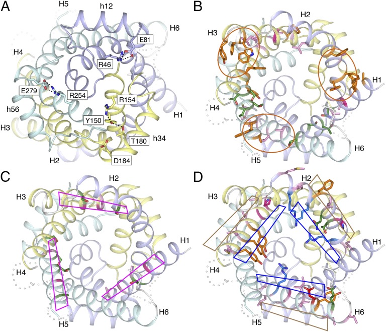 Fig. 6.