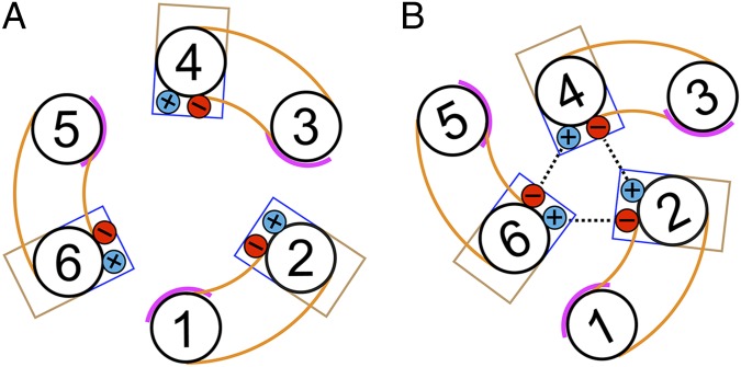 Fig. 7.