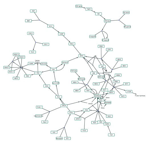 Supplementary Figure 2. 