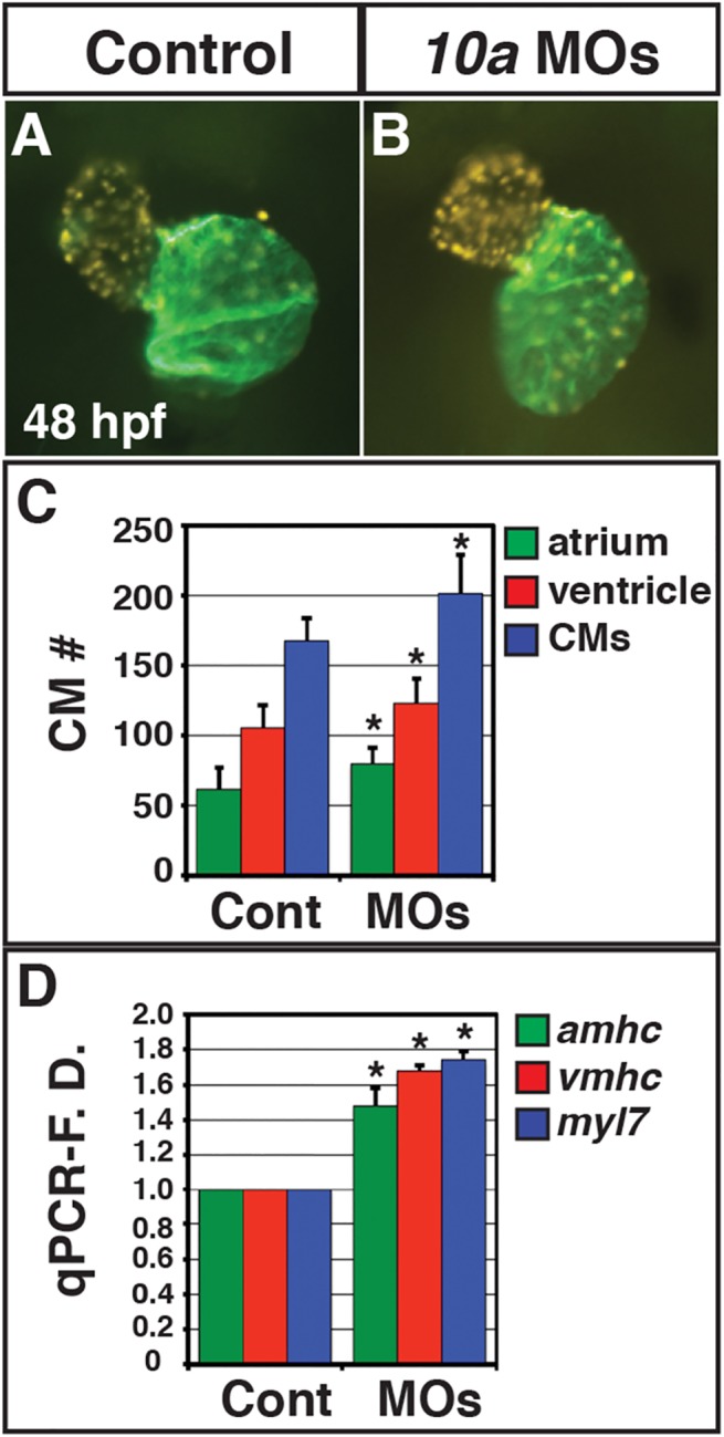 Fig 3