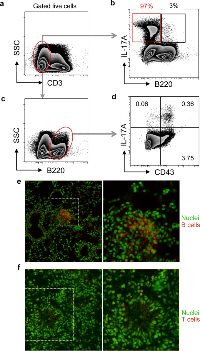 FIG 4