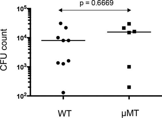 FIG 5