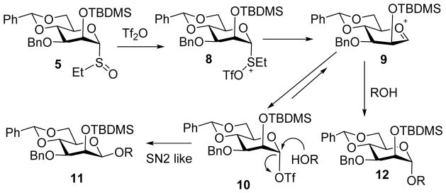 Scheme 4