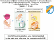 Graphical Abstract