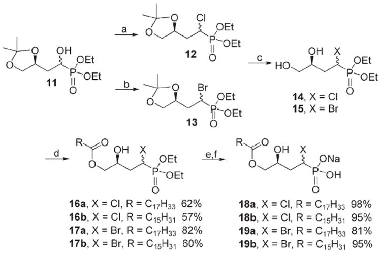 Scheme 3