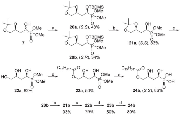 Scheme 4