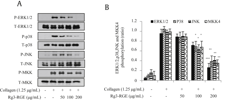 Figure 6