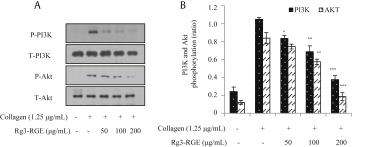 Figure 7