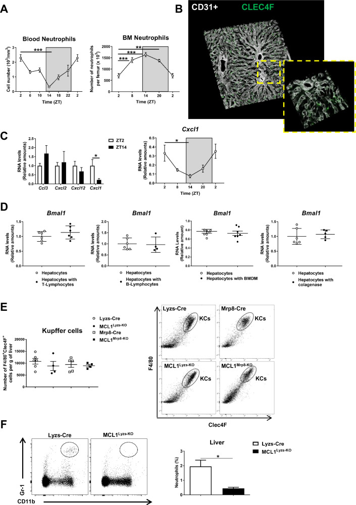 Figure 1—figure supplement 2.