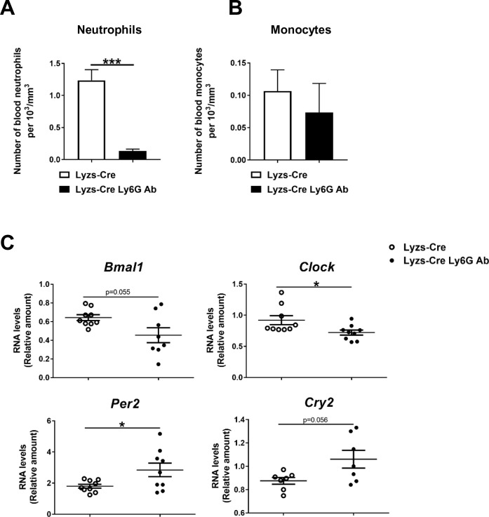 Figure 2—figure supplement 2.