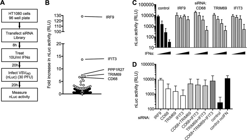 FIG 1