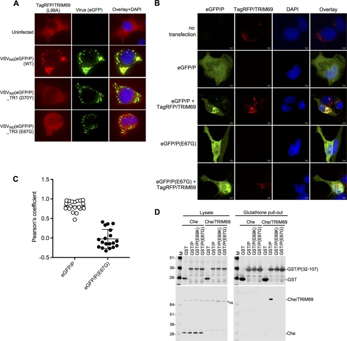 FIG 10