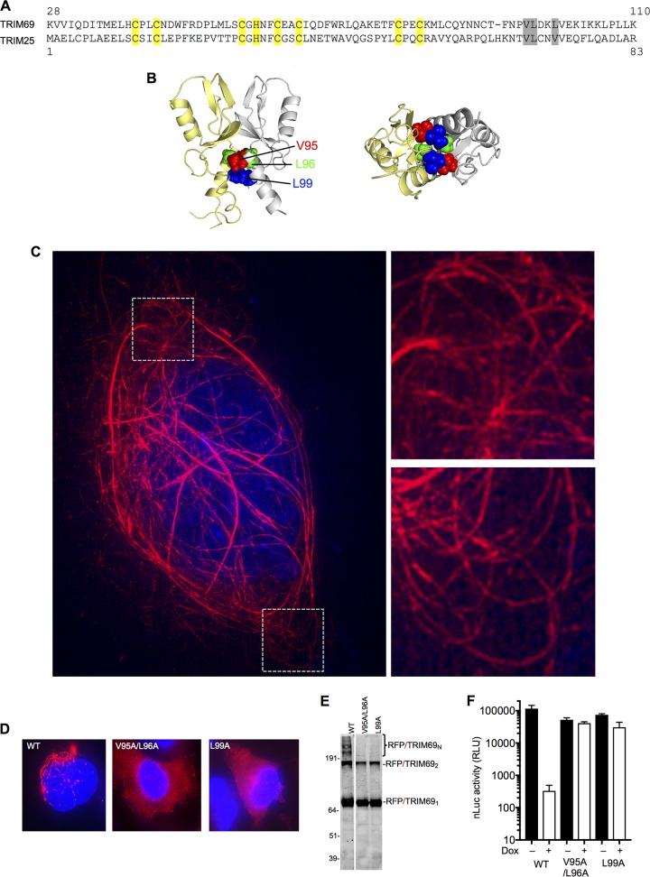 FIG 4