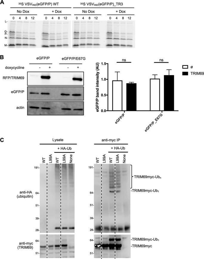 FIG 11