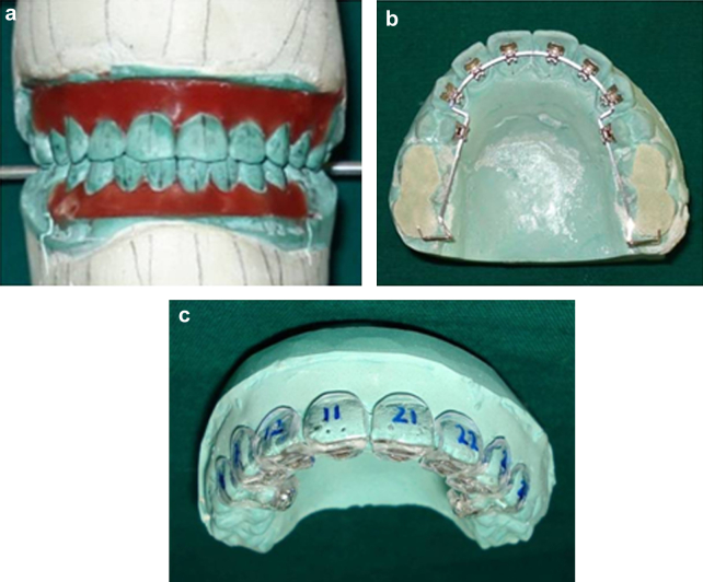 Fig. 2