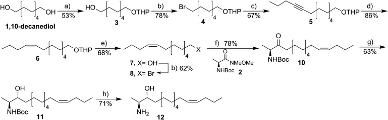 Scheme 1.