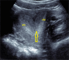 Fig. 8