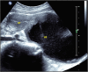Fig. 10