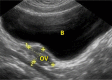 Fig. 5