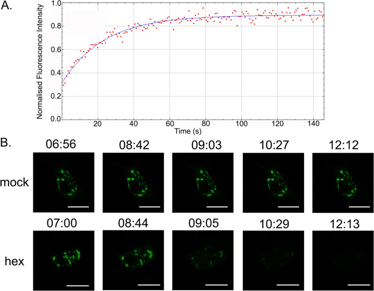 FIG 3